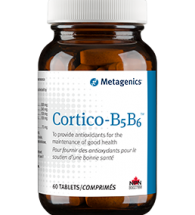 cortico_b5b6